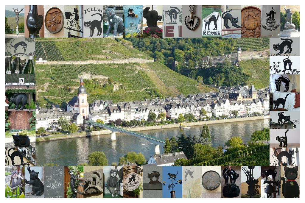 B&B Pension Winzerhaus Zell-Mosel Екстериор снимка